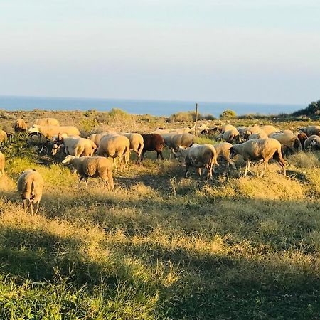 Alojamiento Mar Y Montana Pension Almería Buitenkant foto