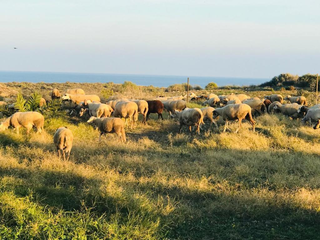 Alojamiento Mar Y Montana Pension Almería Buitenkant foto